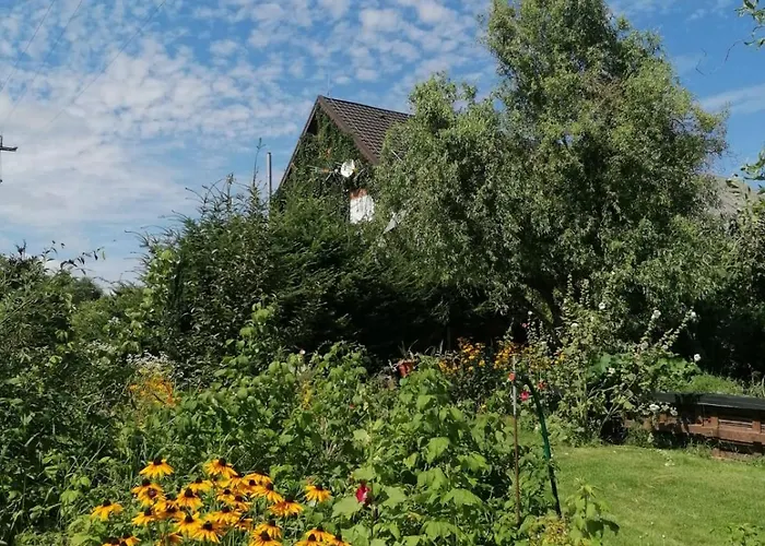 Dziewanna