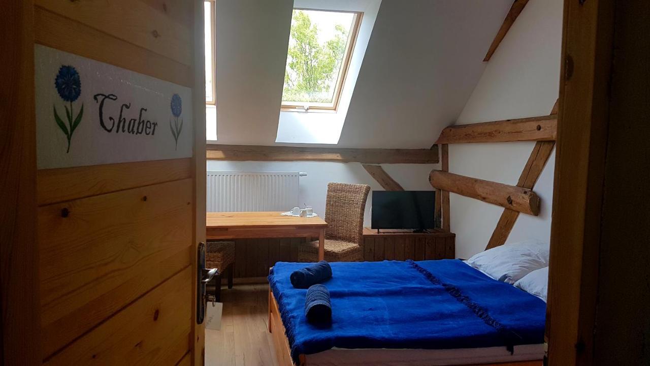 Dziewanna Apartment Brzeziniec