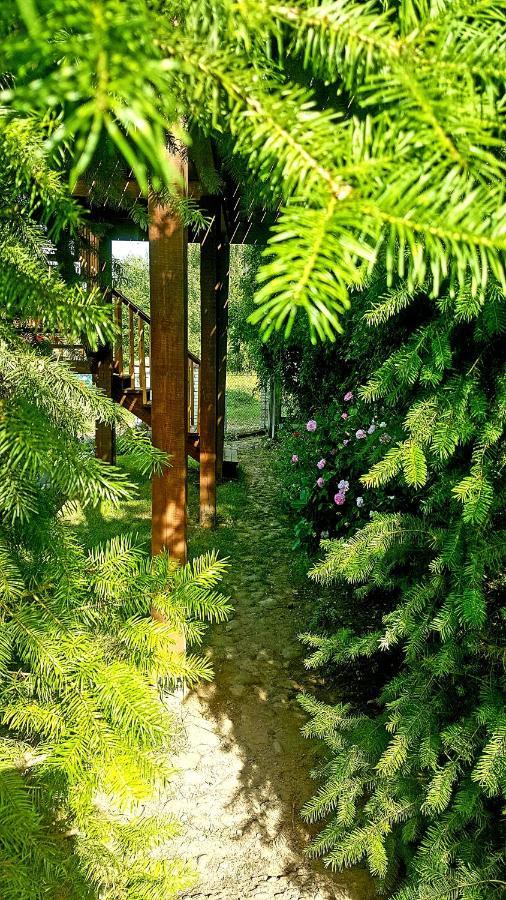 Dziewanna Apartment *